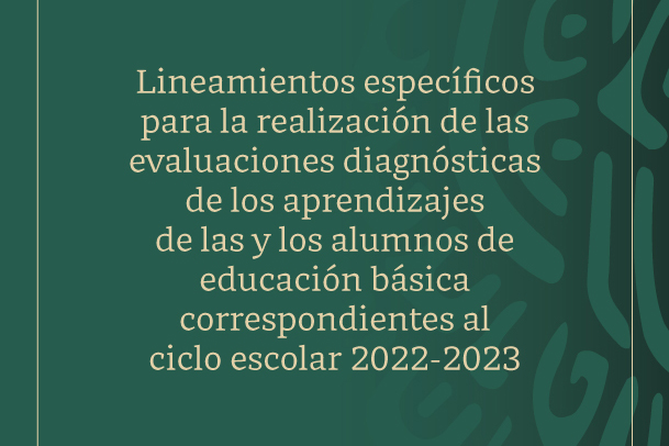 Lineamientos específicos para la realización de las evaluaciones diagnósticas de los aprendizajes de las y los alumnos de educación básica…